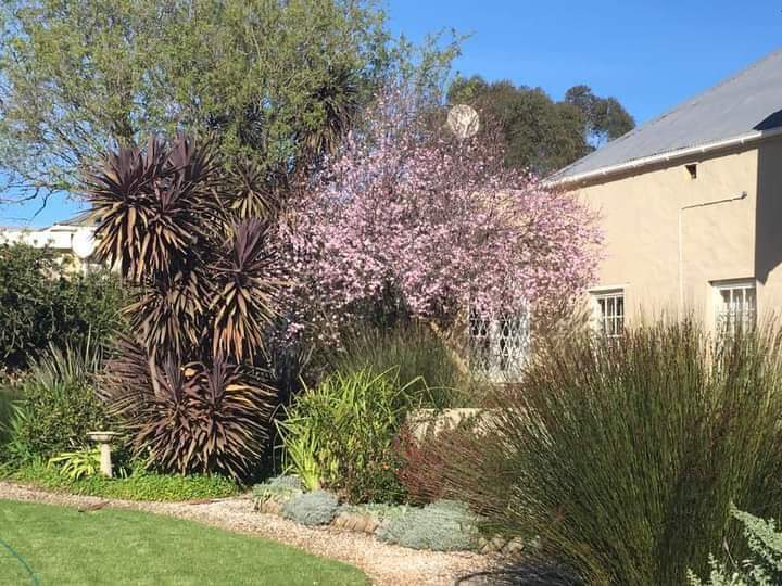 3 Bedroom Property for Sale in Bredasdorp Western Cape